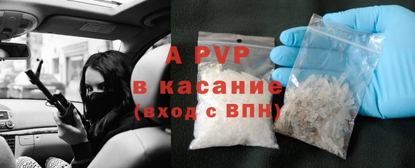 ГАЛЛЮЦИНОГЕННЫЕ ГРИБЫ Елабуга