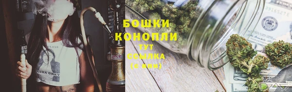 PSILOCYBIN Ельня