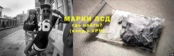 ГАЛЛЮЦИНОГЕННЫЕ ГРИБЫ Елабуга