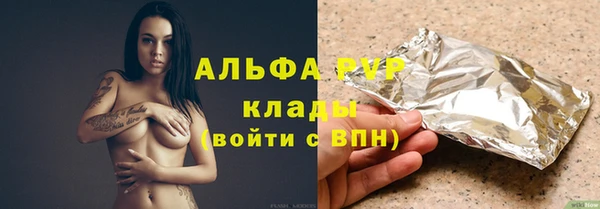 PSILOCYBIN Ельня