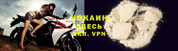 PSILOCYBIN Ельня