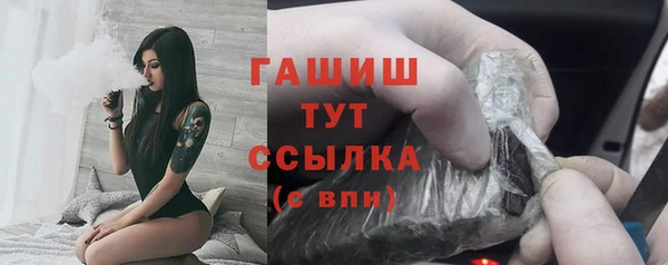 PSILOCYBIN Ельня