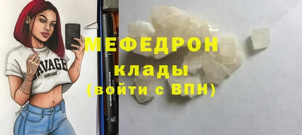 PSILOCYBIN Ельня