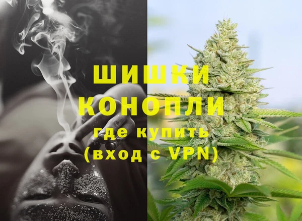 PSILOCYBIN Ельня