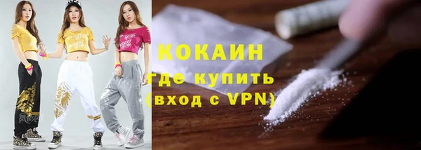 PSILOCYBIN Ельня