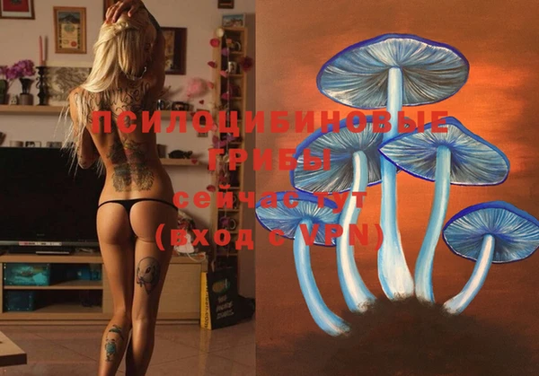 mix Елизово
