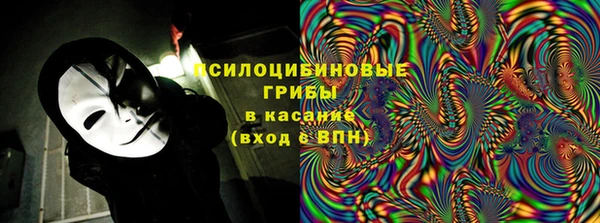 ГАЛЛЮЦИНОГЕННЫЕ ГРИБЫ Елабуга