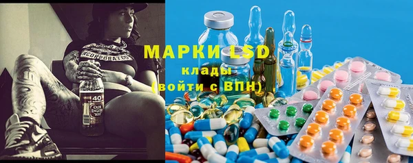 ГАЛЛЮЦИНОГЕННЫЕ ГРИБЫ Елабуга