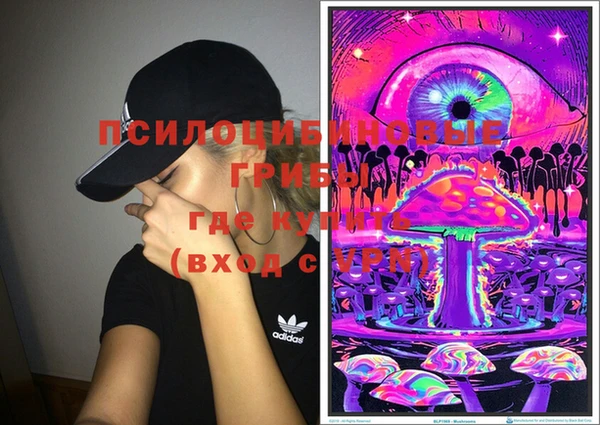 PSILOCYBIN Ельня
