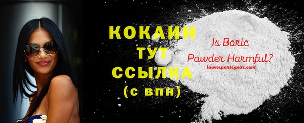 PSILOCYBIN Ельня