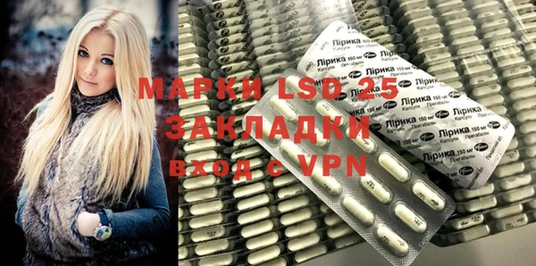 ГАЛЛЮЦИНОГЕННЫЕ ГРИБЫ Елабуга